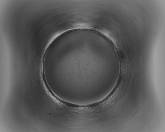 X0000116551383200912101404