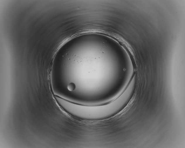 X0000116551385200912101404