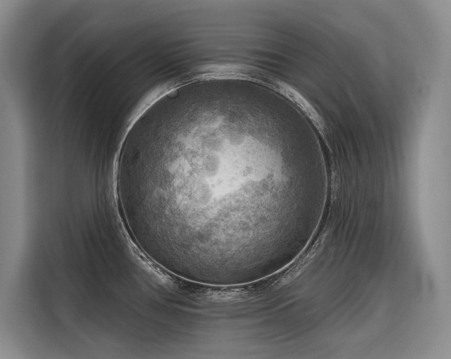 X0000116551386200912101404