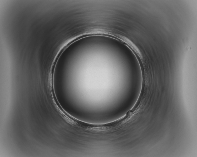 X0000116551388200912101404