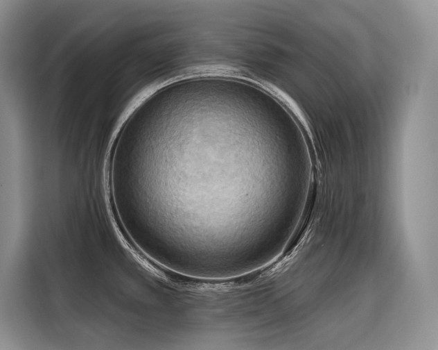 X0000116551389200912101404