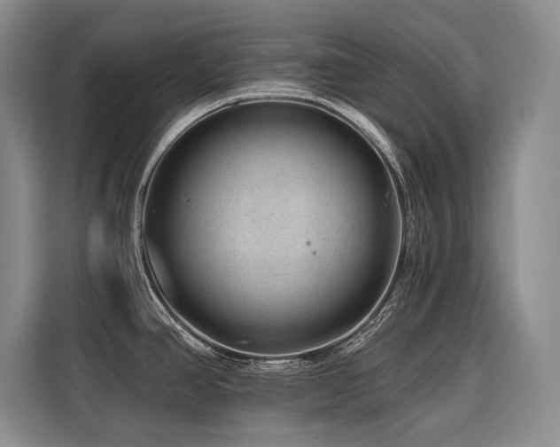 X0000116551390200912101404