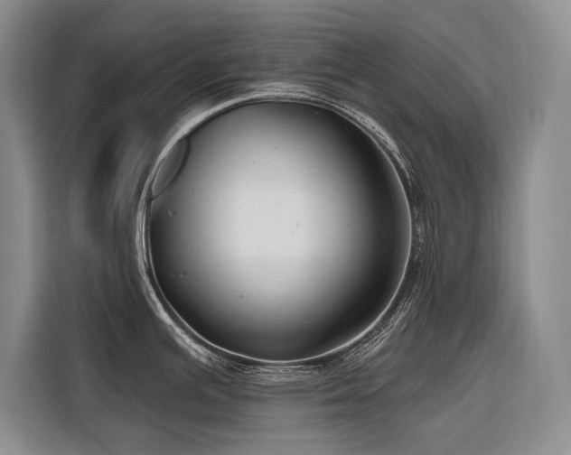 X0000116551391200912101404