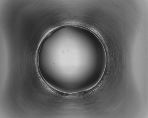 X0000116551392200912101404