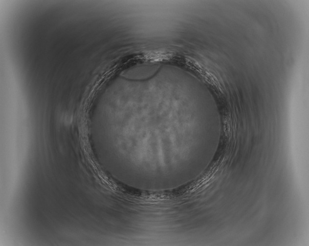 X0000116551393200912101403