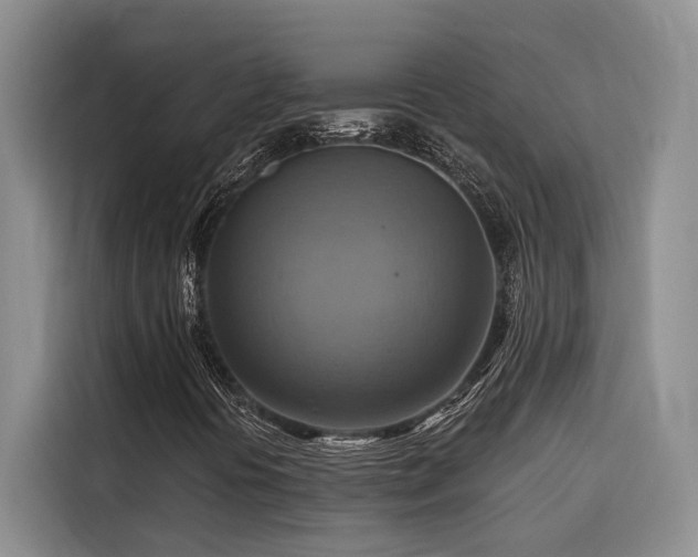 X0000116551394200912101403