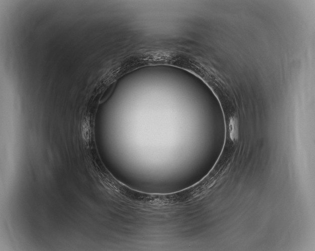 X0000116551395200912101403