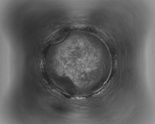 X0000116551397200912101403
