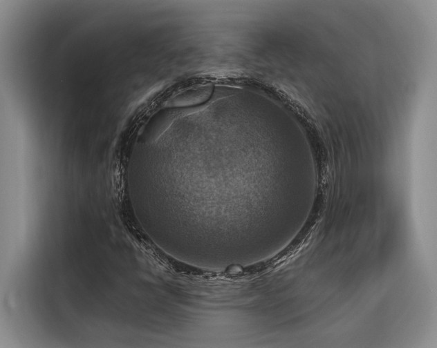 X0000116551398200912101403