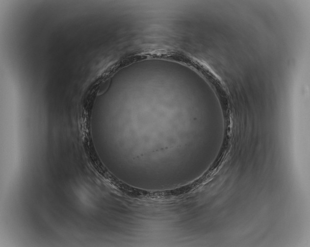 X0000116551399200912101403