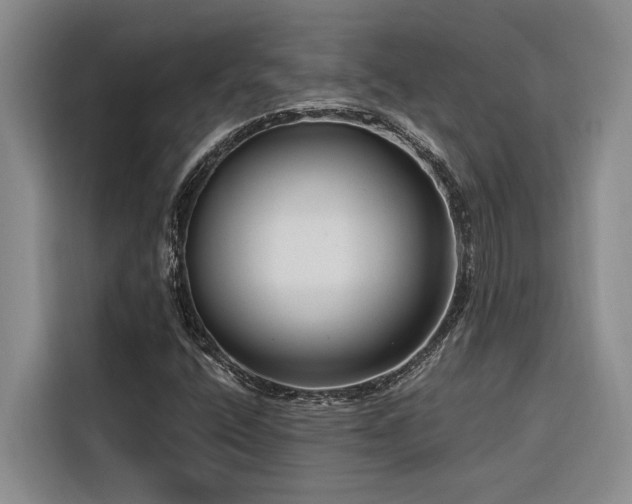 X0000116551400200912101403