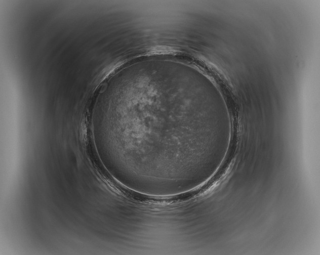 X0000116551401200912101403