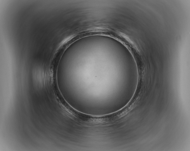 X0000116551402200912101403