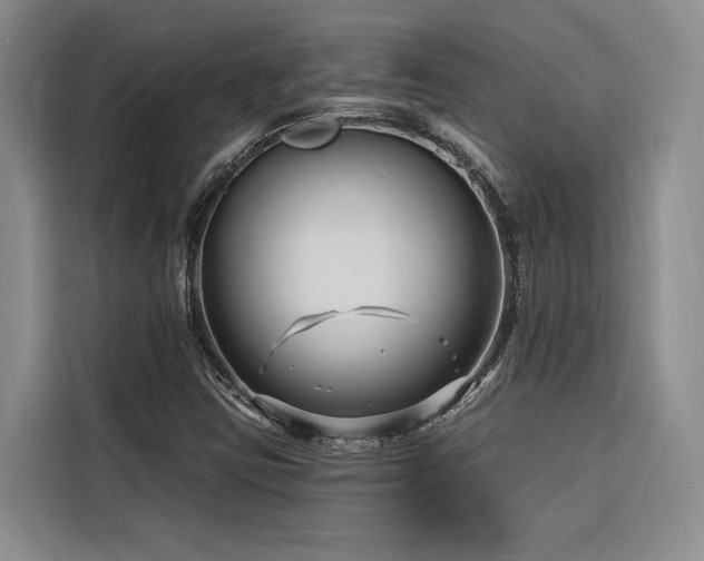 X0000116551403200912101403