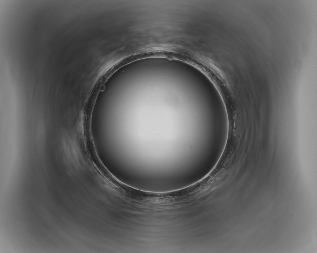 X0000116551404200912101403
