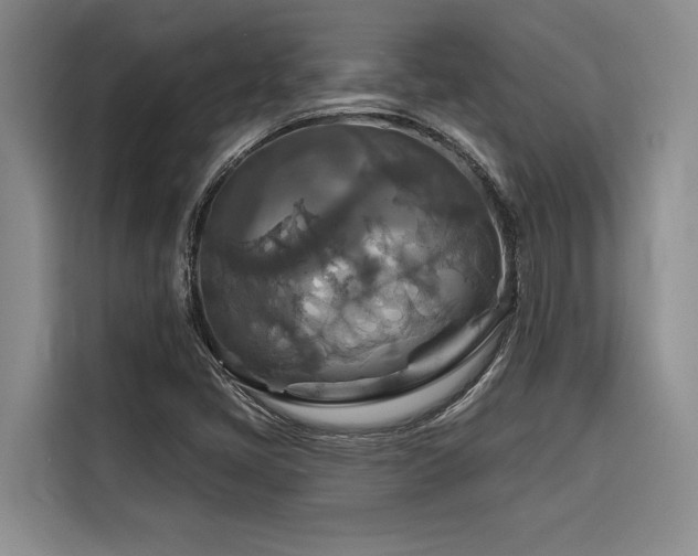 X0000116551405200912101403