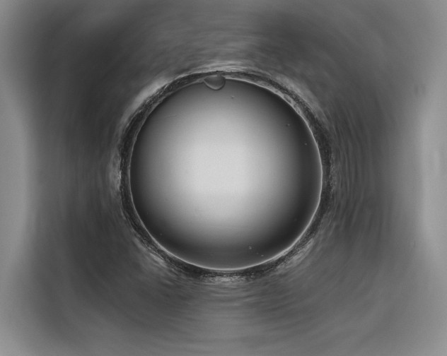 X0000116551406200912101403