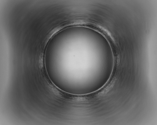 X0000116551409200912101403