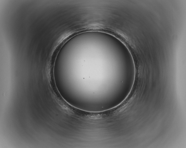 X0000116551410200912101403