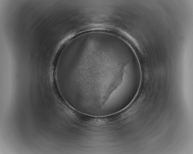 X0000116551411200912101403