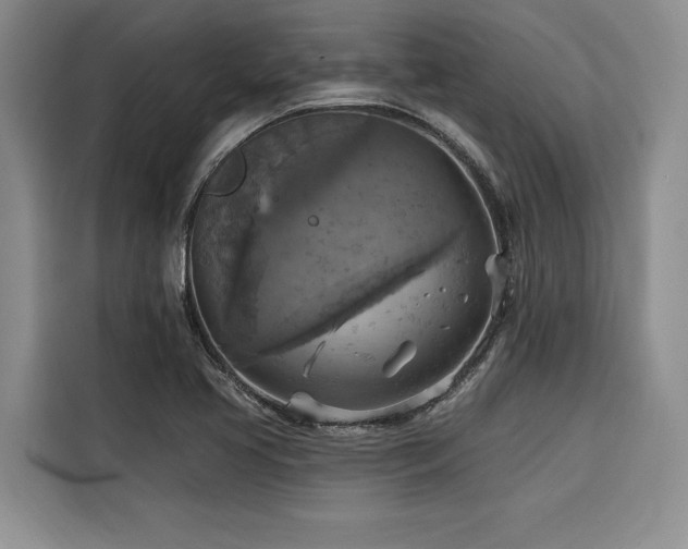 X0000116551413200912101403