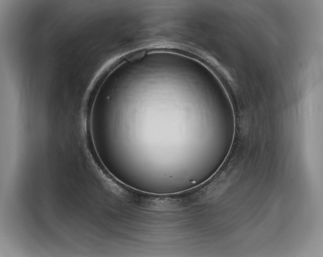 X0000116551416200912101403