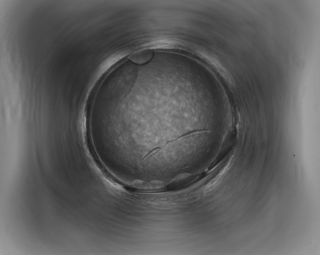 X0000116551418200912101404