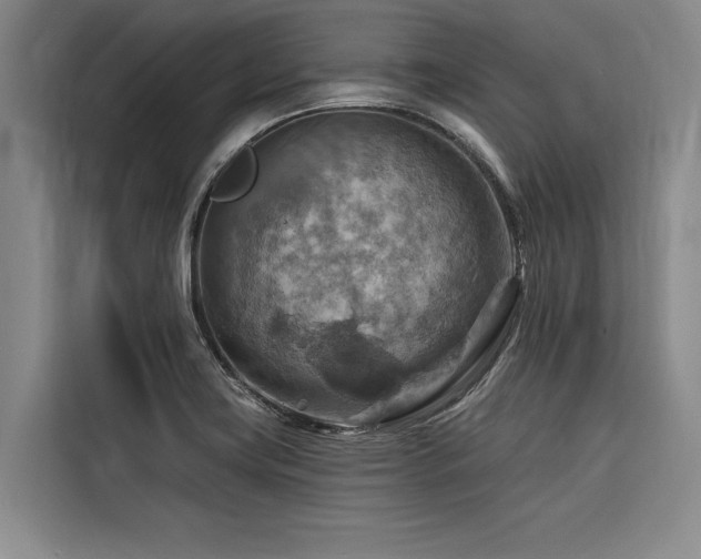X0000116551419200912101404