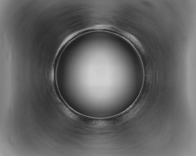 X0000116551420200912101404