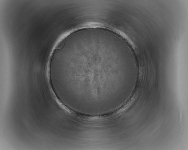 X0000116551421200912101404