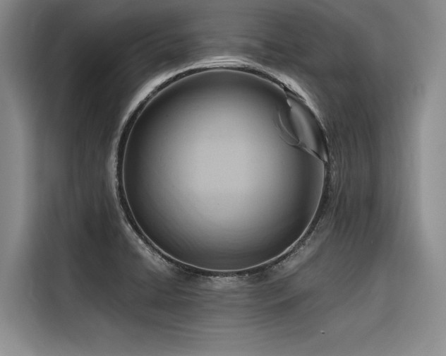 X0000116551422200912101404
