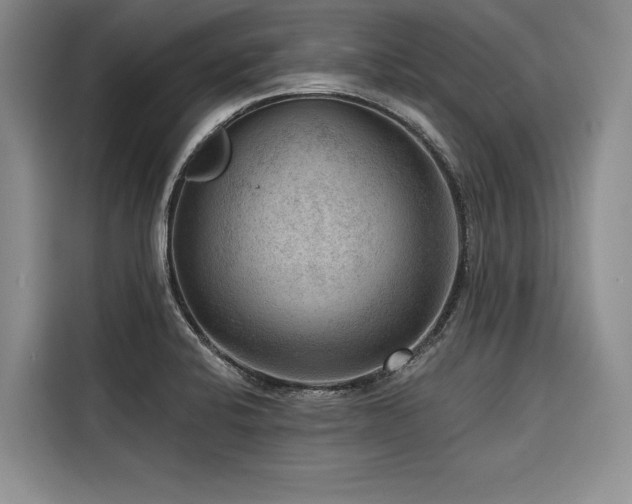 X0000116551424200912101404