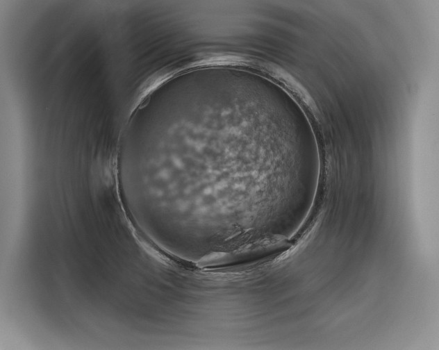 X0000116551425200912101404