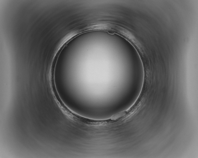 X0000116551426200912101404