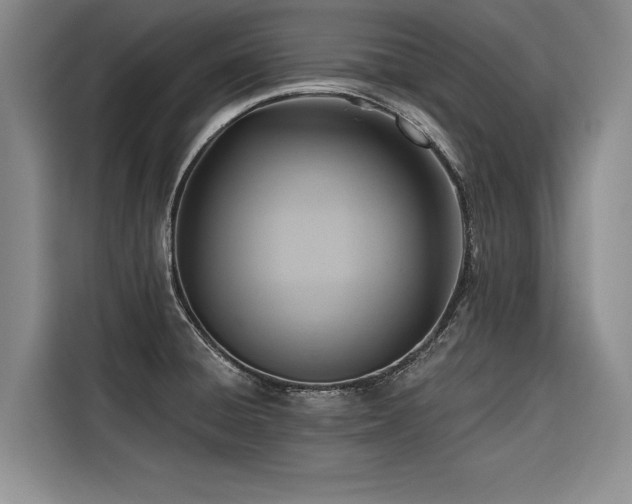 X0000116551428200912101404