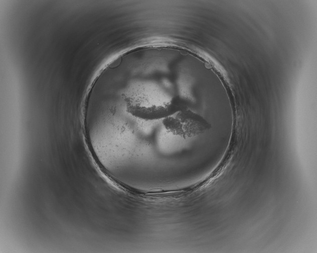 X0000116551429200912101404