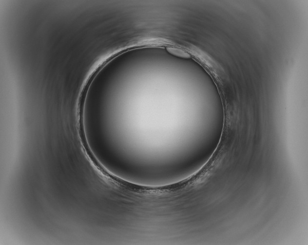 X0000116551430200912101404