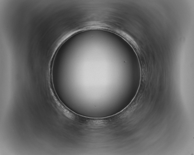 X0000116551431200912101404