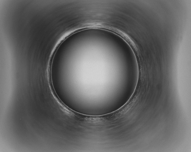 X0000116551432200912101404