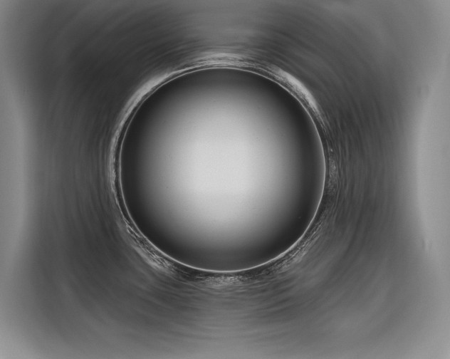 X0000116551435200912101404