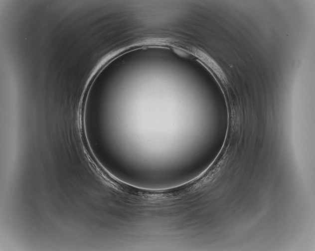 X0000116551436200912101404