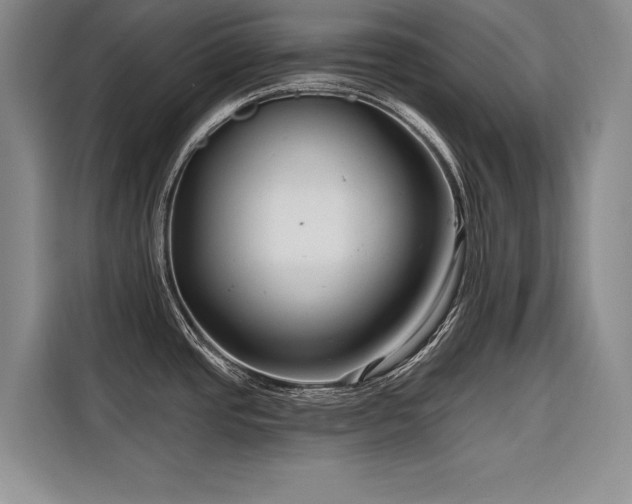 X0000116551437200912101404