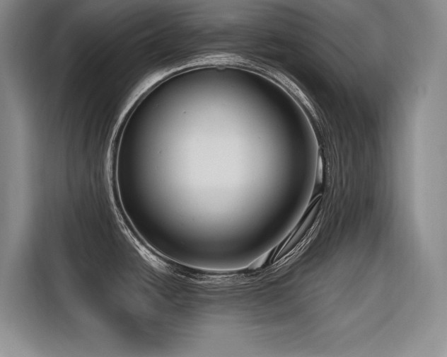 X0000116551438200912101404