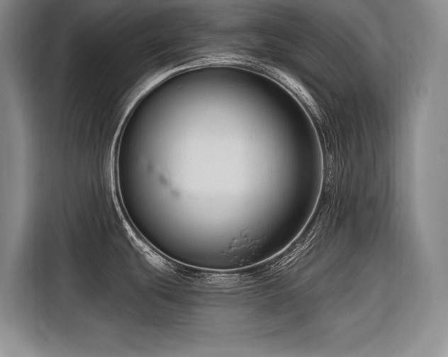 X0000116551439200912101404