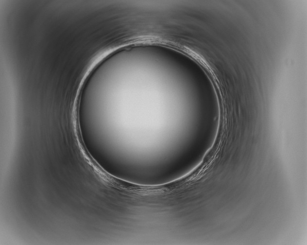 X0000116551440200912101404