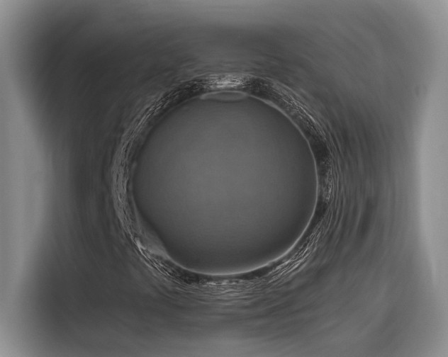 X0000116551441200912101403