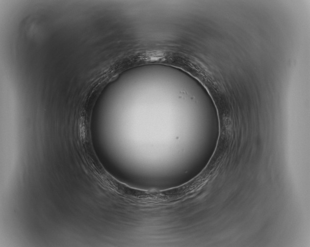 X0000116551442200912101403