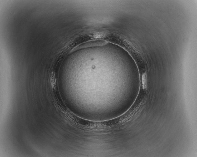 X0000116551443200912101403