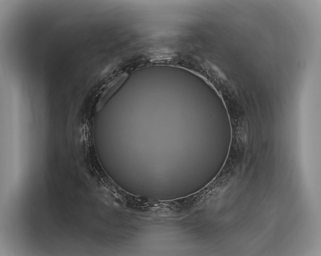 X0000116551445200912101403