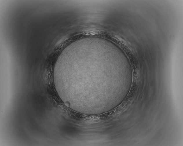 X0000116551446200912101403